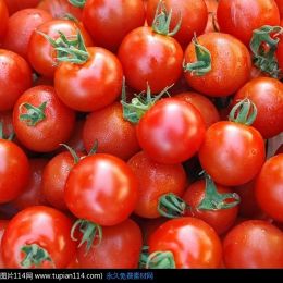 小番茄-一般