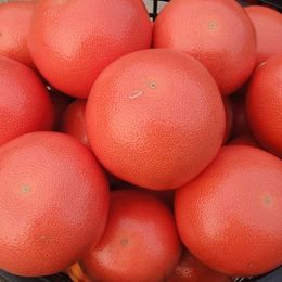 葡萄柚-紅寶石