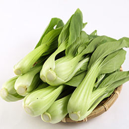青江白菜-水耕 湯匙菜,上海白菜
