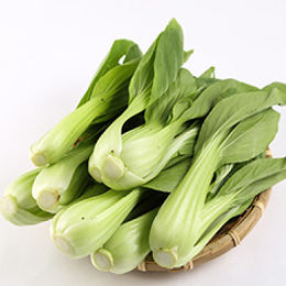 青江白菜-水耕 湯匙菜,青江菜