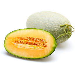 洋香瓜-新疆 哈密瓜